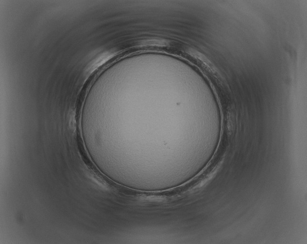 X0000116581113200912241649