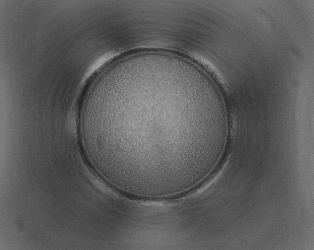 X0000116581114200912241649