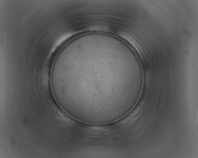 X0000116581115200912241649