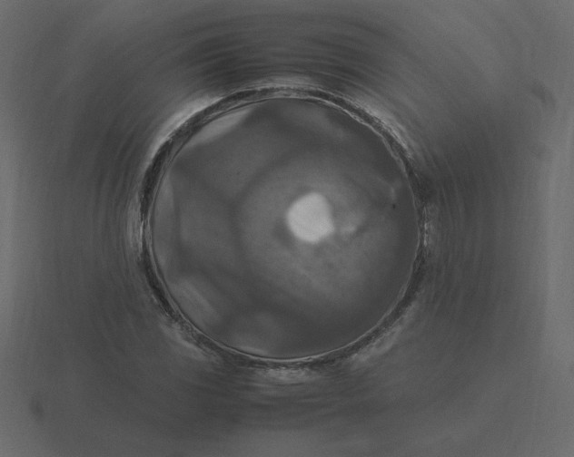 X0000116581117200912241649