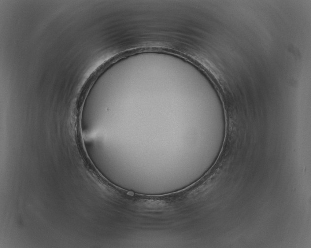 X0000116581119200912241649