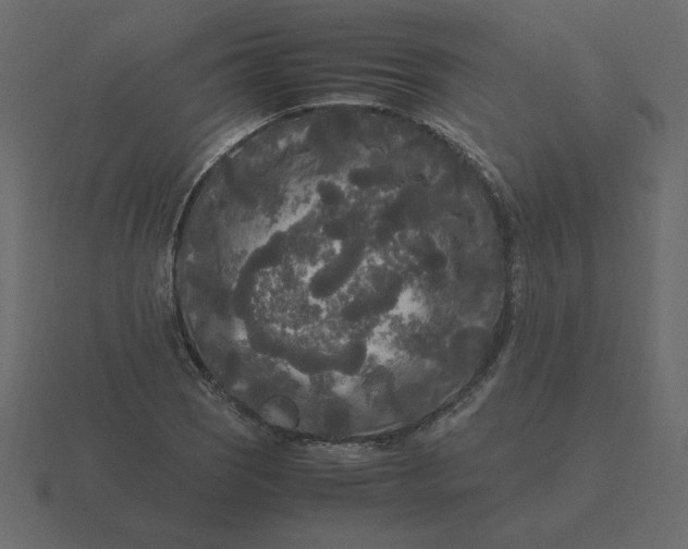 X0000116581121200912241649