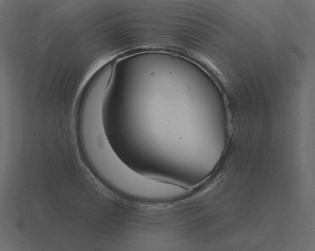 X0000116581122200912241649