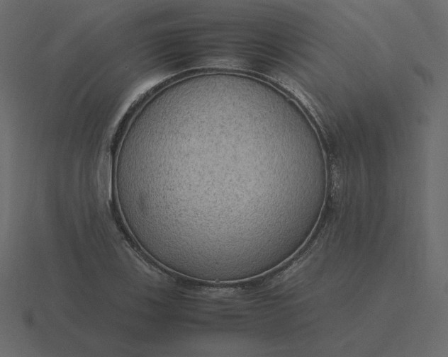 X0000116581123200912241649