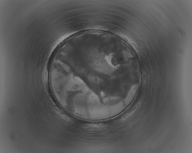 X0000116581125200912241649