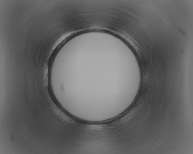 X0000116581126200912241649