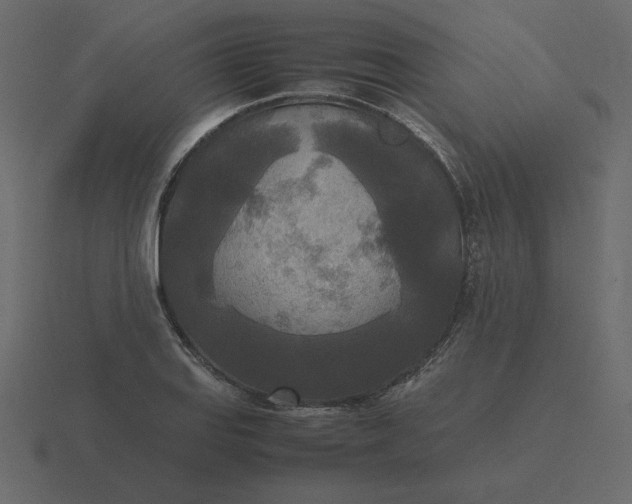 X0000116581127200912241649