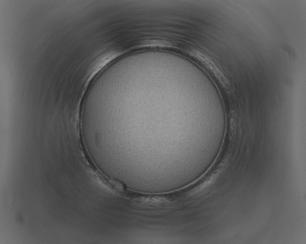 X0000116581129200912241649