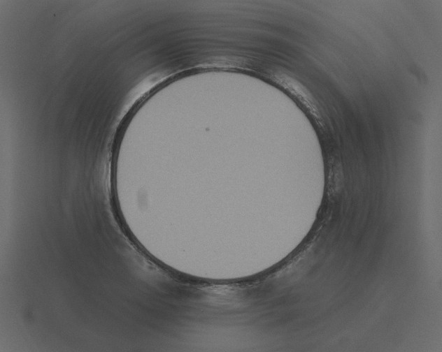 X0000116581130200912241649