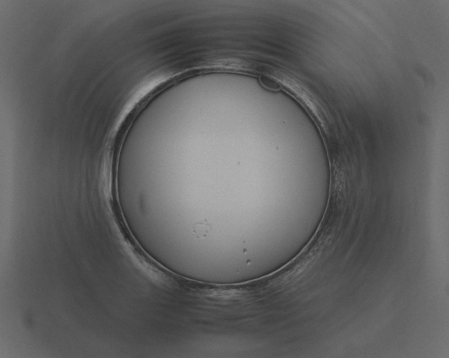 X0000116581131200912241649