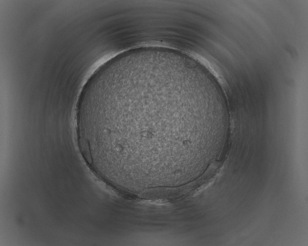 X0000116581133200912241649