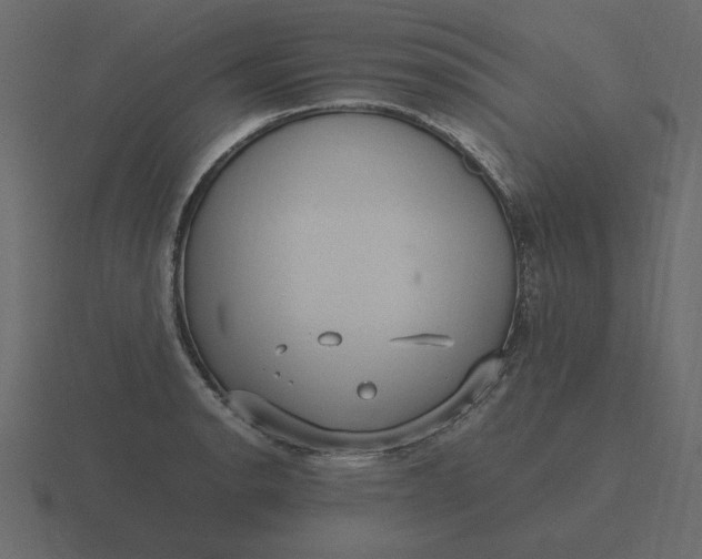 X0000116581134200912241649