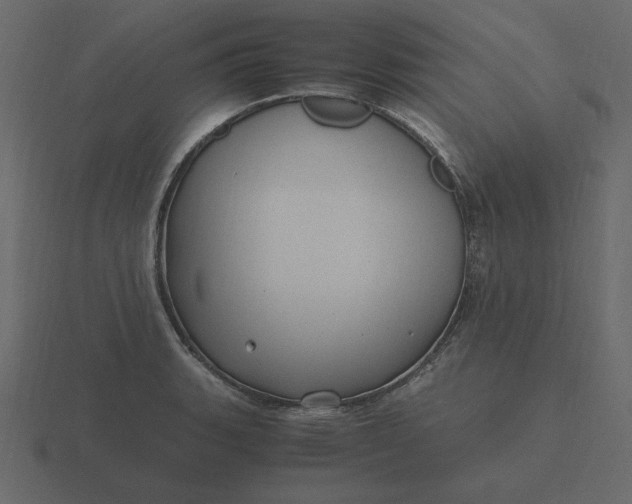 X0000116581135200912241649