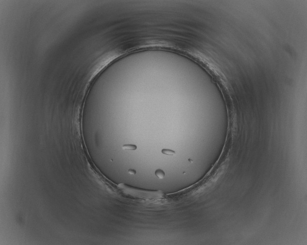 X0000116581137200912241649