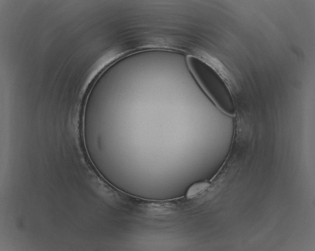 X0000116581138200912241649