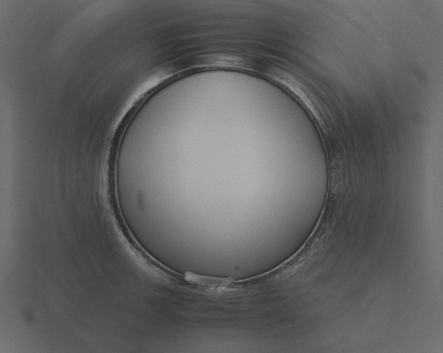 X0000116581139200912241649