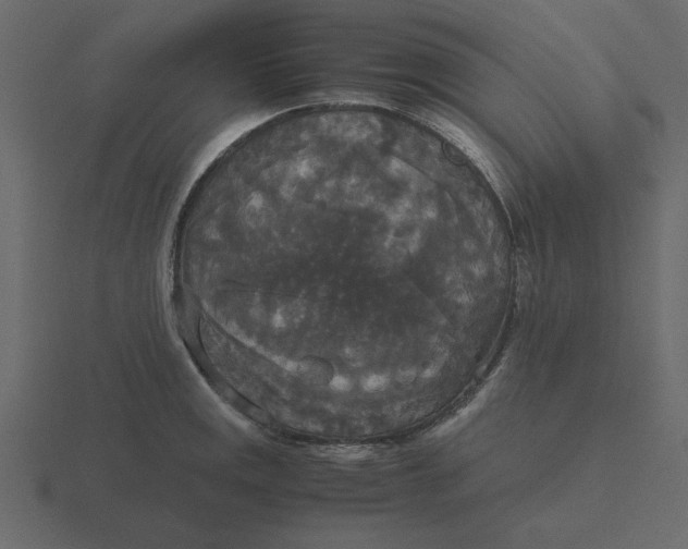 X0000116581141200912241649