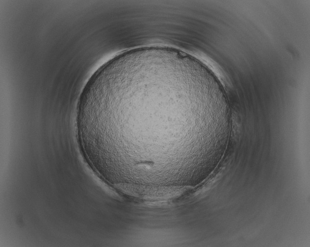 X0000116581142200912241649