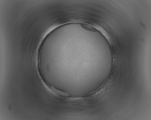 X0000116581143200912241649