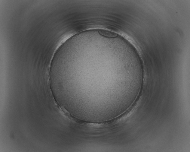 X0000116581145200912241649