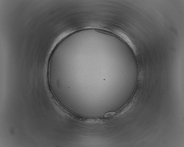 X0000116581146200912241649