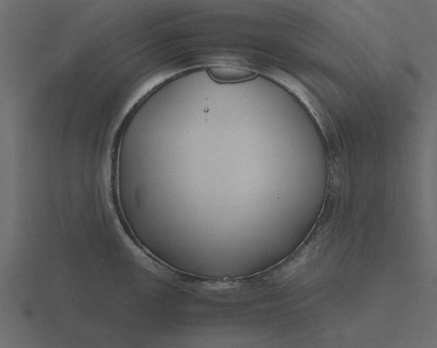 X0000116581147200912241649