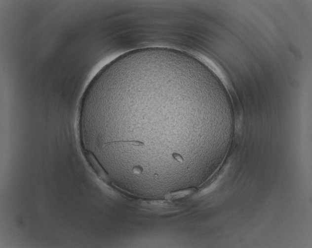 X0000116581149200912241649