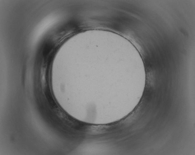 X0000116581150200912241649