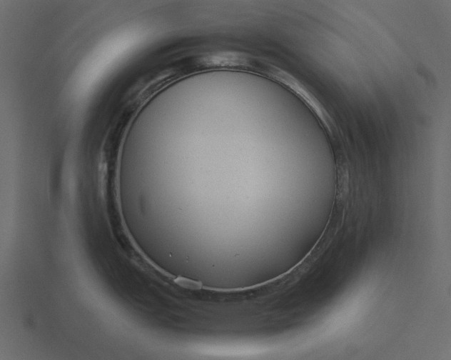 X0000116581151200912241649