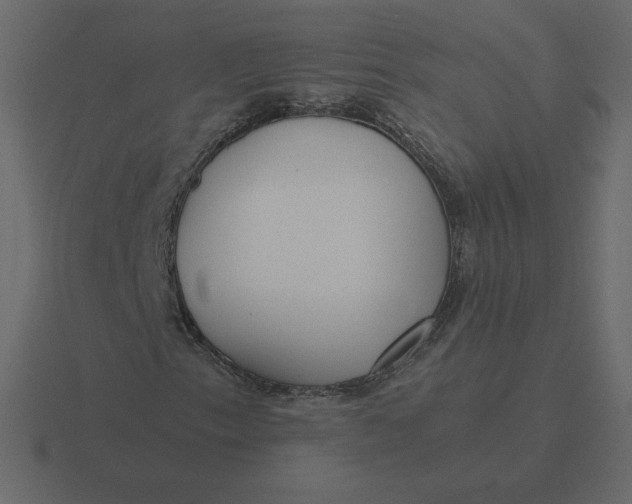 X0000116581153200912241648