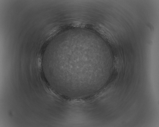 X0000116581154200912241648