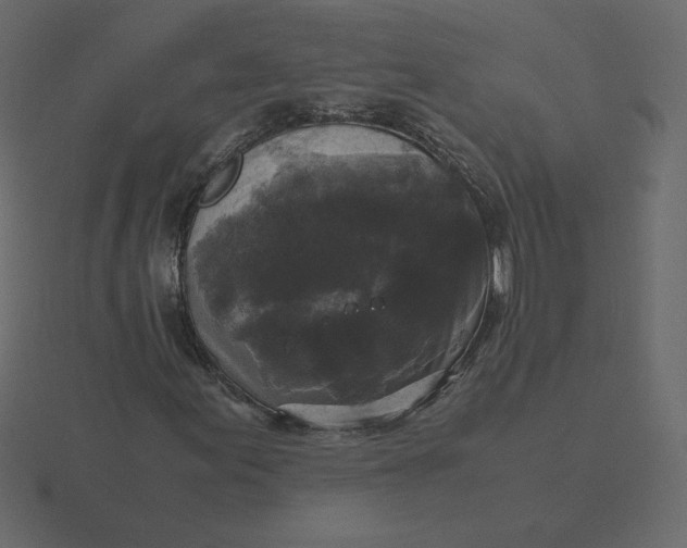 X0000116581155200912241648