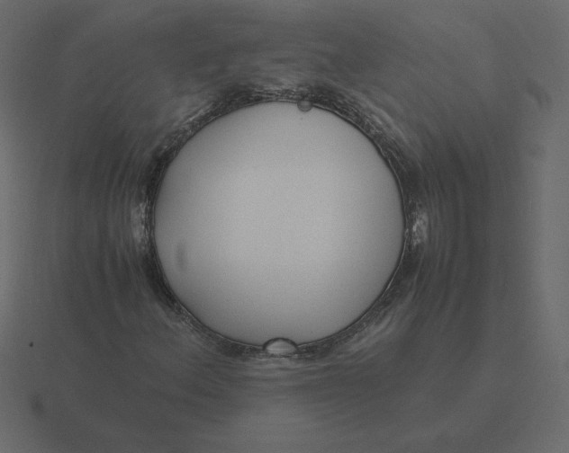 X0000116581156200912241648