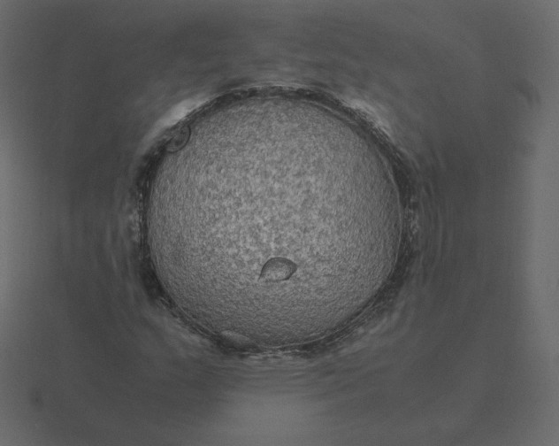 X0000116581159200912241648