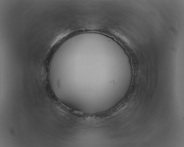 X0000116581160200912241648