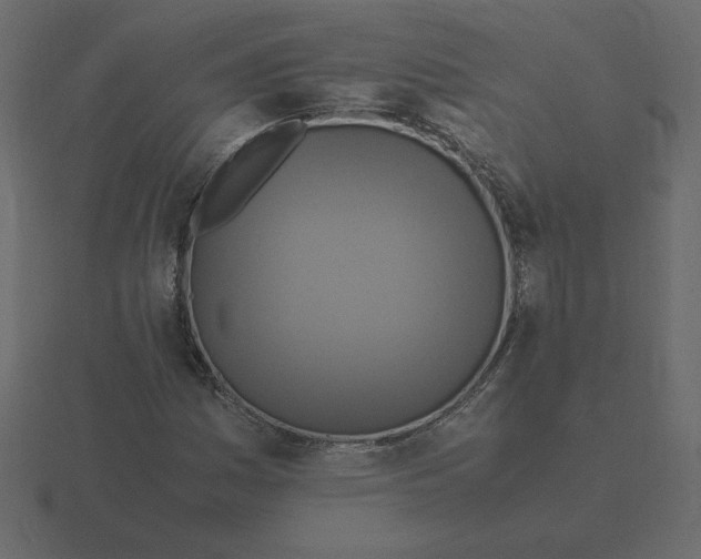 X0000116581161200912241648