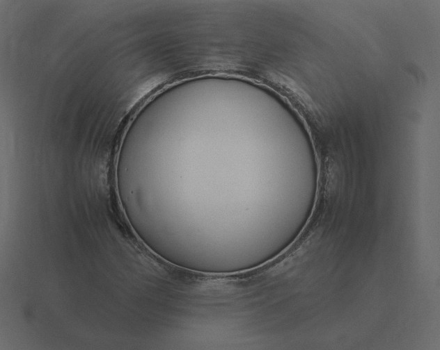 X0000116581162200912241648