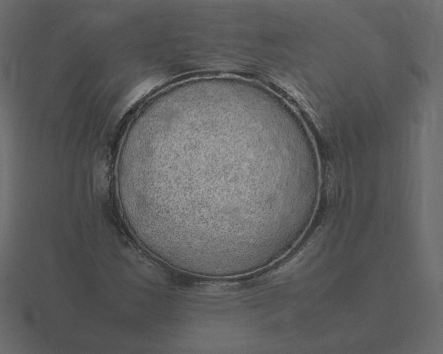 X0000116581163200912241648