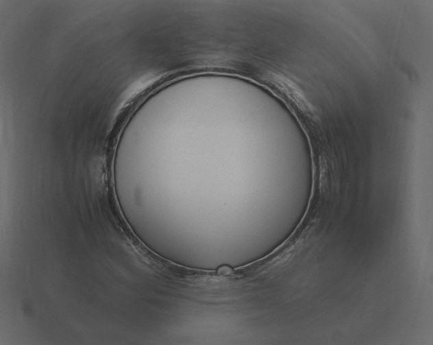 X0000116581164200912241648