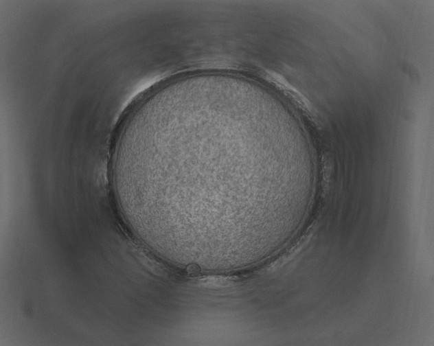 X0000116581166200912241648