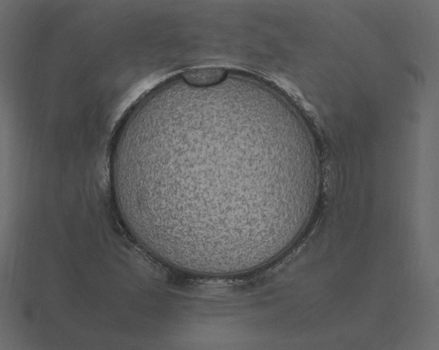 X0000116581167200912241648