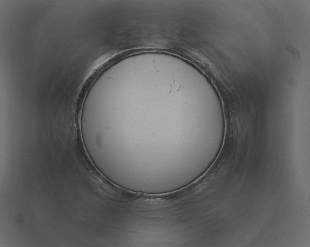 X0000116581168200912241648