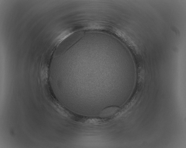 X0000116581169200912241648