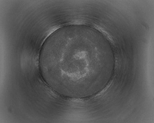 X0000116581170200912241648