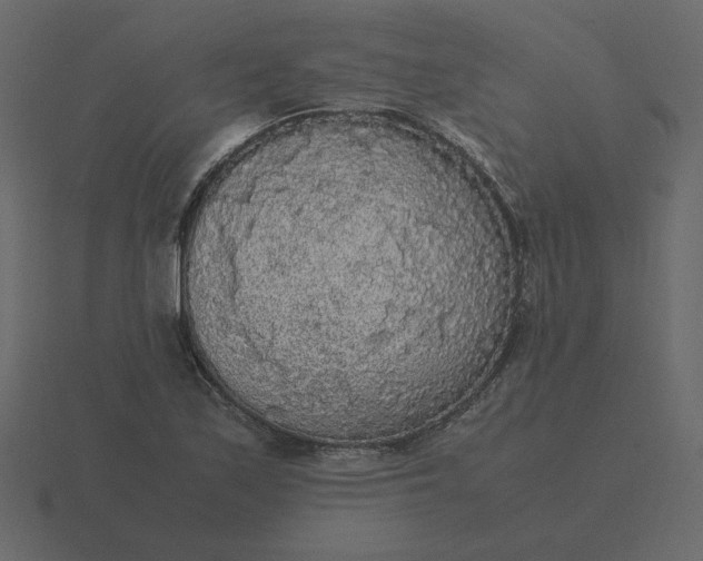 X0000116581171200912241648