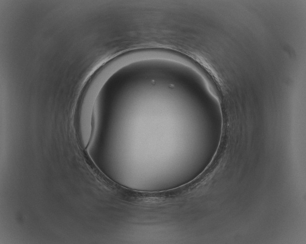 X0000116581173200912241648