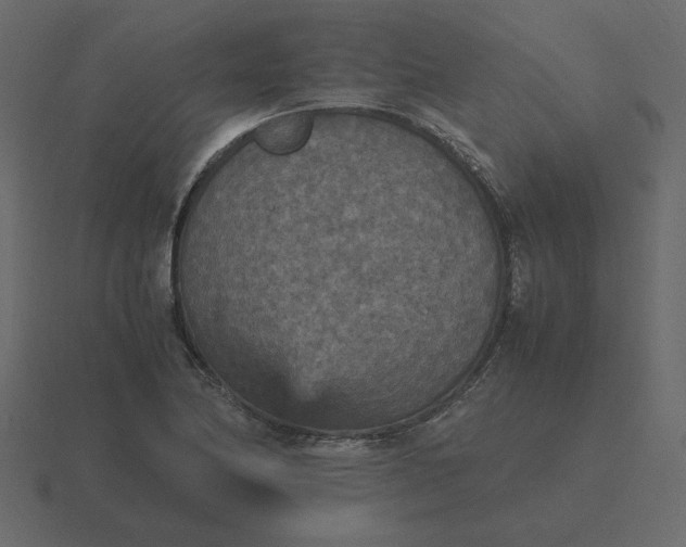 X0000116581174200912241648