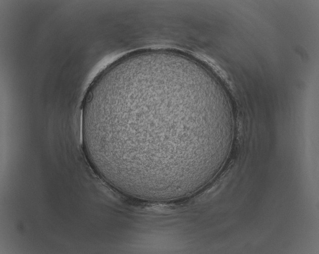 X0000116581175200912241648