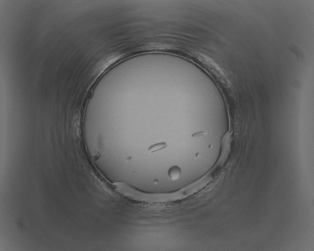 X0000116581177200912241648