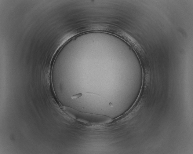 X0000116581178200912241648